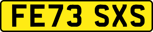 FE73SXS
