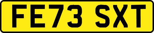 FE73SXT