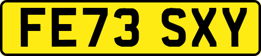 FE73SXY