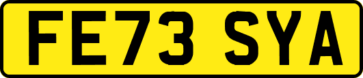 FE73SYA