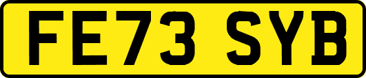 FE73SYB