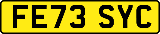 FE73SYC