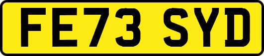 FE73SYD