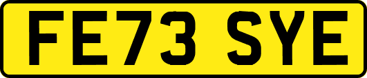 FE73SYE