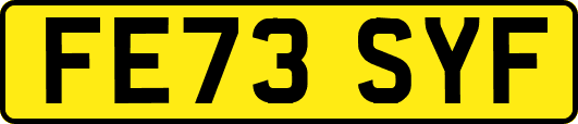 FE73SYF