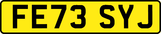 FE73SYJ