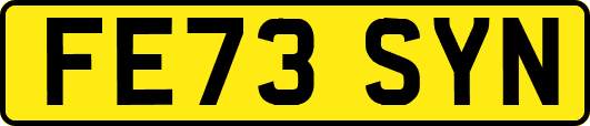 FE73SYN