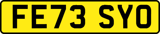 FE73SYO
