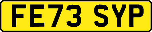 FE73SYP