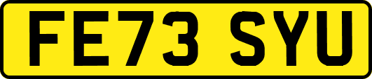 FE73SYU