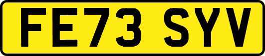 FE73SYV