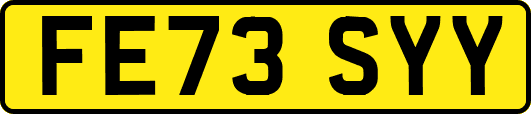 FE73SYY