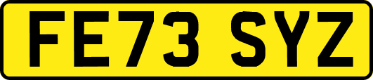 FE73SYZ