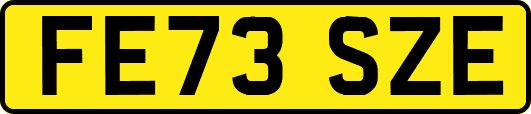 FE73SZE