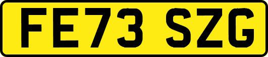 FE73SZG