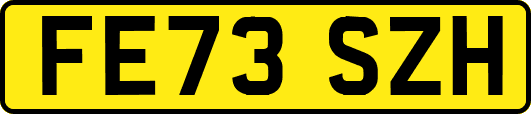FE73SZH