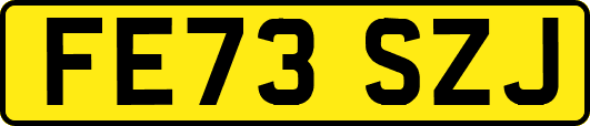FE73SZJ