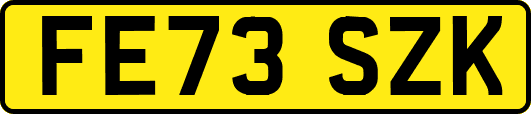FE73SZK