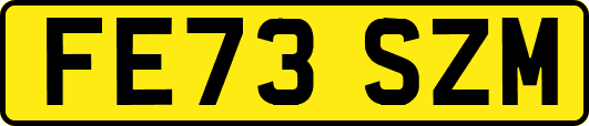 FE73SZM