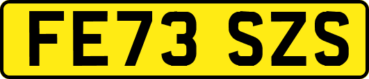 FE73SZS
