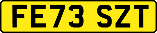FE73SZT