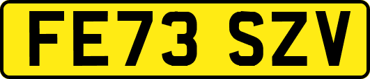 FE73SZV