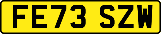 FE73SZW