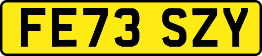 FE73SZY