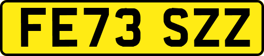 FE73SZZ