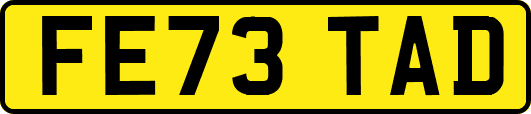 FE73TAD