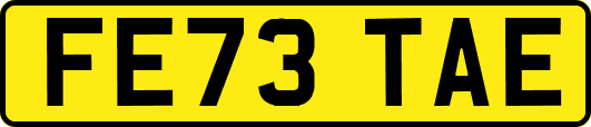 FE73TAE