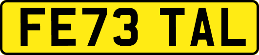 FE73TAL
