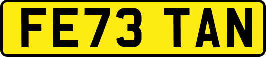 FE73TAN