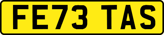 FE73TAS