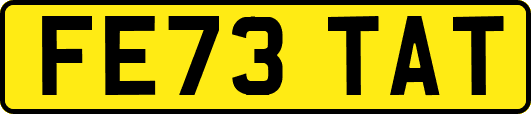 FE73TAT