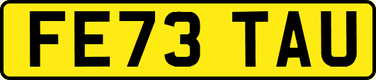 FE73TAU