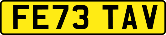 FE73TAV