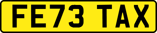 FE73TAX