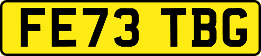 FE73TBG