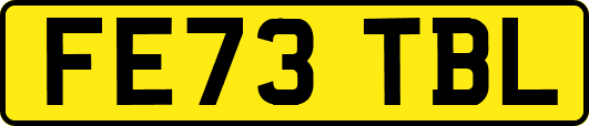 FE73TBL