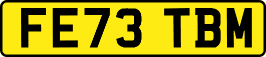 FE73TBM