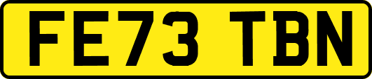 FE73TBN