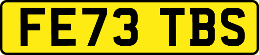 FE73TBS