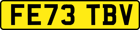 FE73TBV