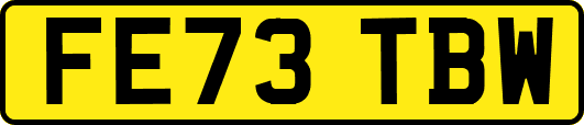 FE73TBW