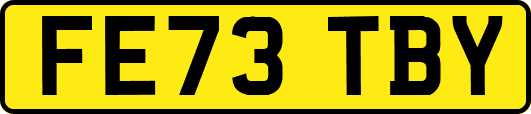 FE73TBY