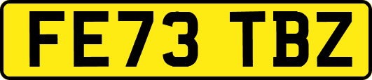 FE73TBZ