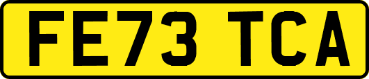 FE73TCA