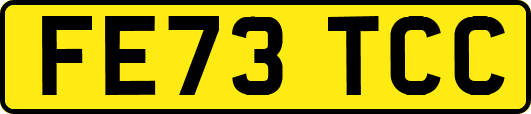 FE73TCC