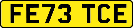 FE73TCE